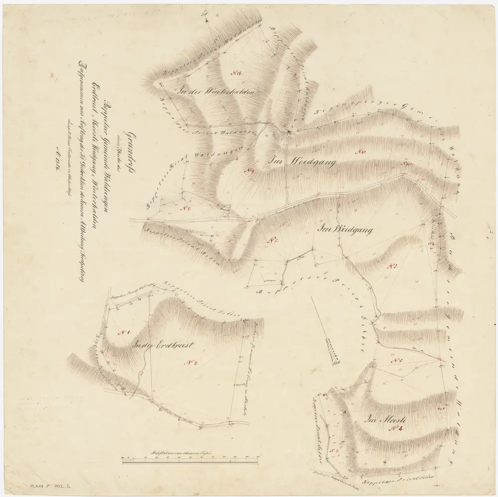 Boppelsen: Gemeindewaldung: Erdbrust, Winterhalden, Weidgang, Mösli (Möösli); Grundrisse