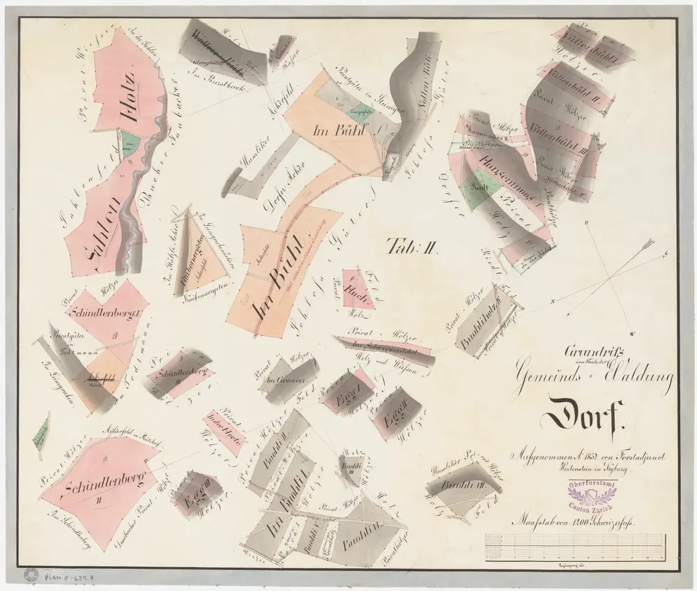 Dorf: Gemeindewaldung: Buoli (Buohli), Grauen, Herten, Egg, Salenholz (Sahlenholz), Schindlenberg, Hansenmoos, Nittenbüel (Nüttenbühl), Büel (Im Bühl), Glungghölzli (Wallenrüti); Grundrisse (Tab. II)