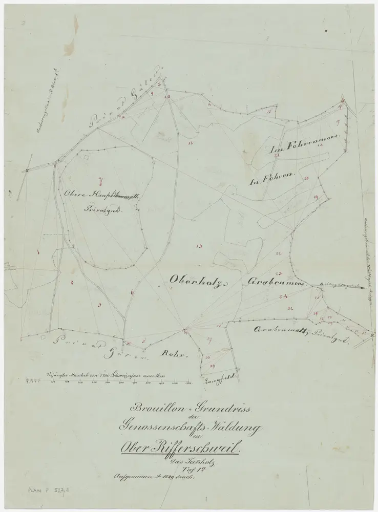 Rifferswil: Genossenschaftswaldung Oberrifferswil: Tannholz mit Foren, Oberholz, Grabenmoos; Grundriss (Tafel 1 a)