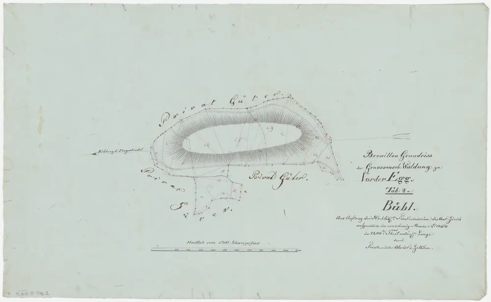 Egg: Gemeinde- und Genossenschaftswaldungen Vorderegg: Genossenschaftswaldung Bühl; Grundriss (Tab. 2)