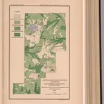 Plate XXXVII.  Mount Rainier Forest Reserve, Washington, Distribution of Fir (Pseudotsuga taxifolia).