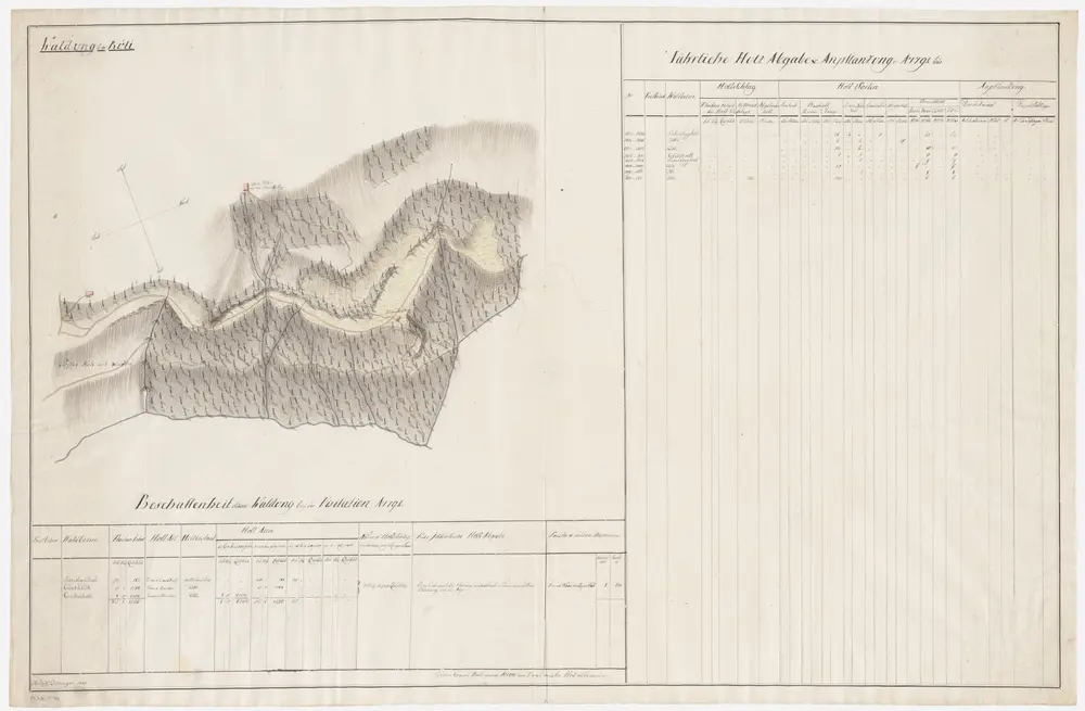 Rüti: Dem Amt Rüti gehörende Waldung zu Rüti (Waldbezirke Scheideggholz, Gächhölzli und Gestellholz; Grundrisse (V. Planche)