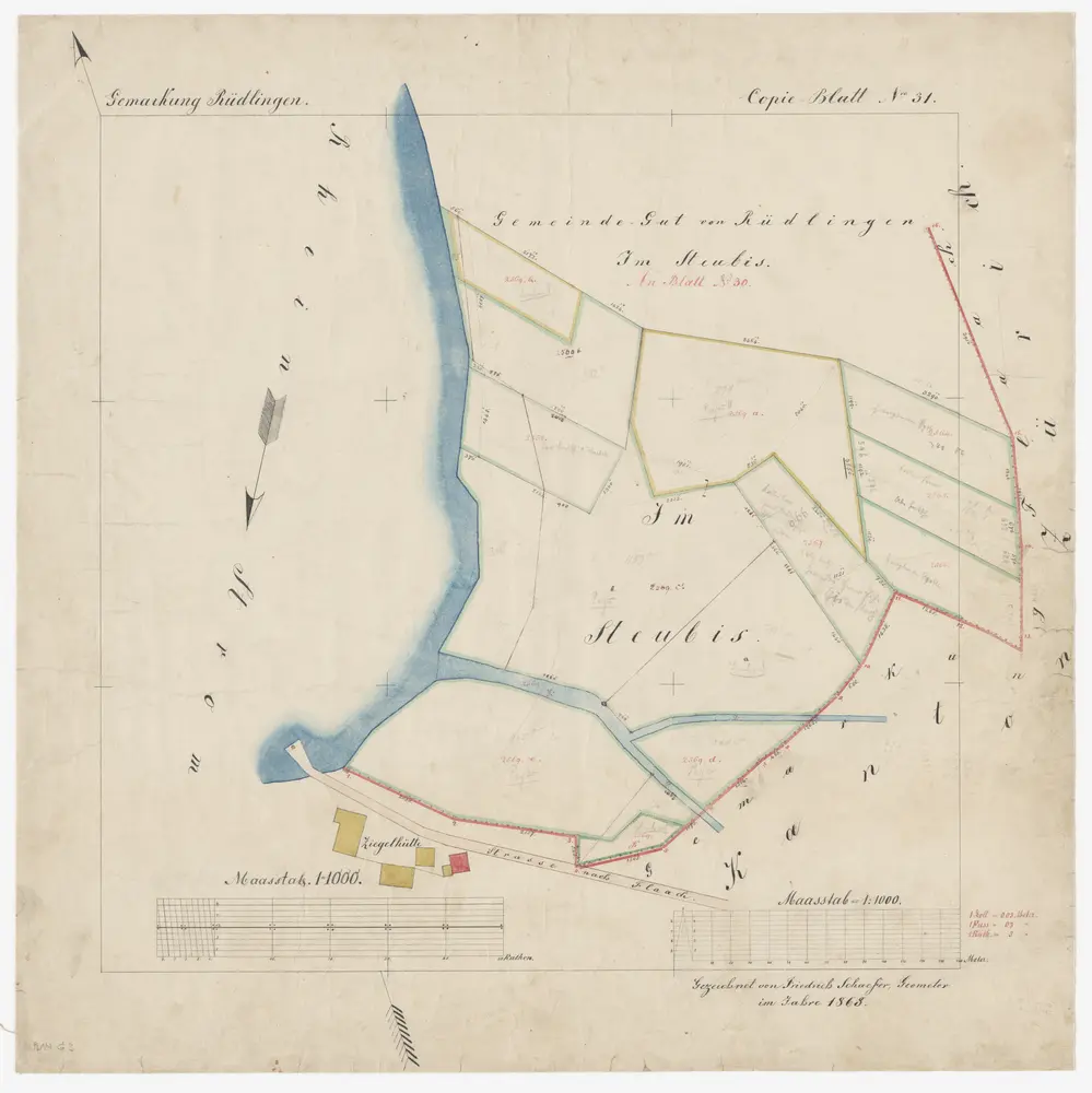Rüdlingen SH: Im Steubis genannte Gemeinde- und Privatgüter; Grundriss (Blatt Nr. 31)