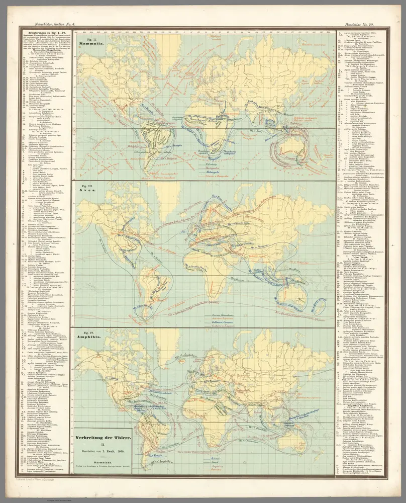 No. 20.  Verbreitung der Thiere.  II.