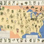 Medicinal plant map of the United States of America