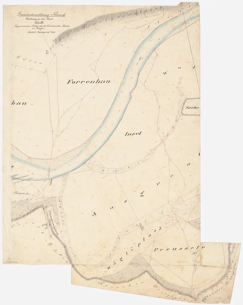 Flaach, Volken, Kleinandelfingen: Gemeindewaldung Flaach: Flaach: Forenhau (Forrenhau), Inslen (Insel), Usgrüt (Ausgreut), Wägliplatz, Präuselen (Preussele); Grundriss (Tab. III)