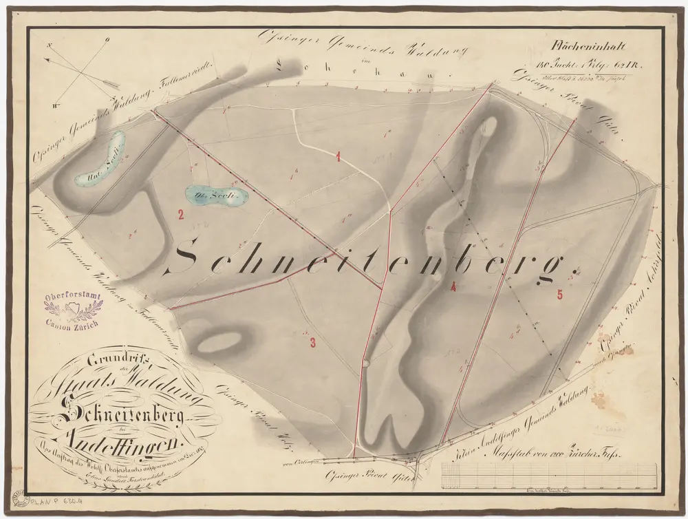 Ossingen: Staatswaldung: Schneitenberg; Grundriss