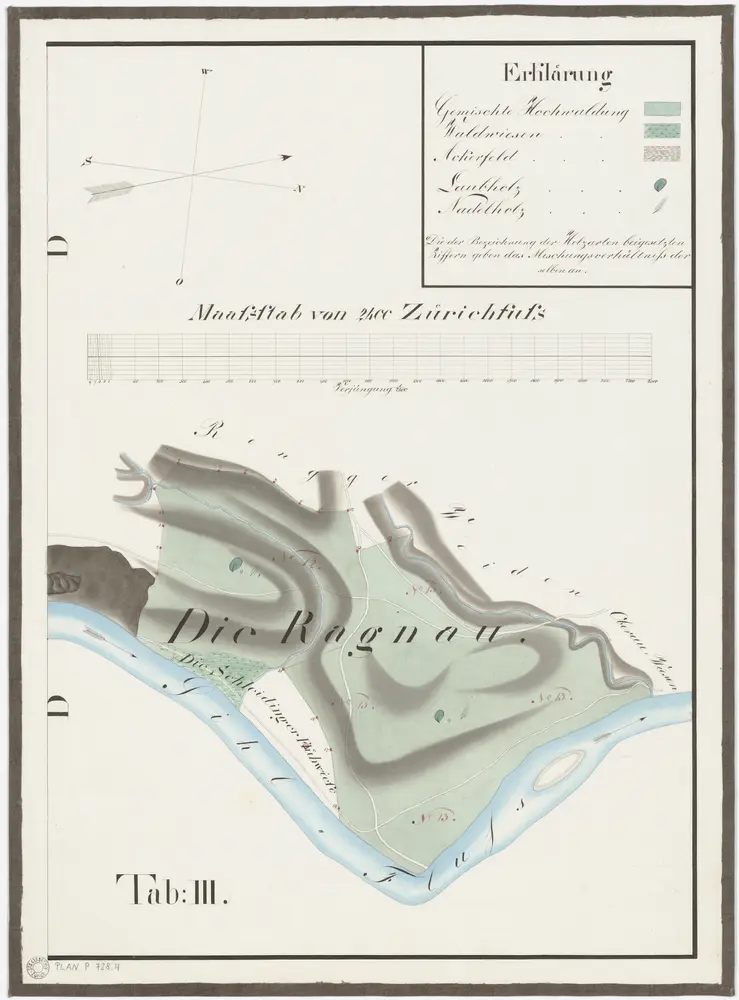 Horgen, Langnau am Albis, Thalwil, Hottingen, Zürich: Staatswaldungen, Genossenschaftswaldungen und Zürcher Stadtwaldungen: Langnau am Albis: Zürcher Stadtwaldung Mittlerer Sihlwald mit Ragnau; Grundriss (Tab. III)