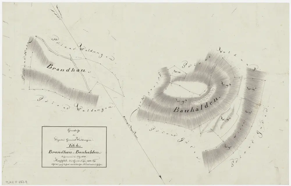 Weiach: Gemeindewaldung: Brandhau, Buhalden (Bauhalden); Grundrisse (Tab. IV)