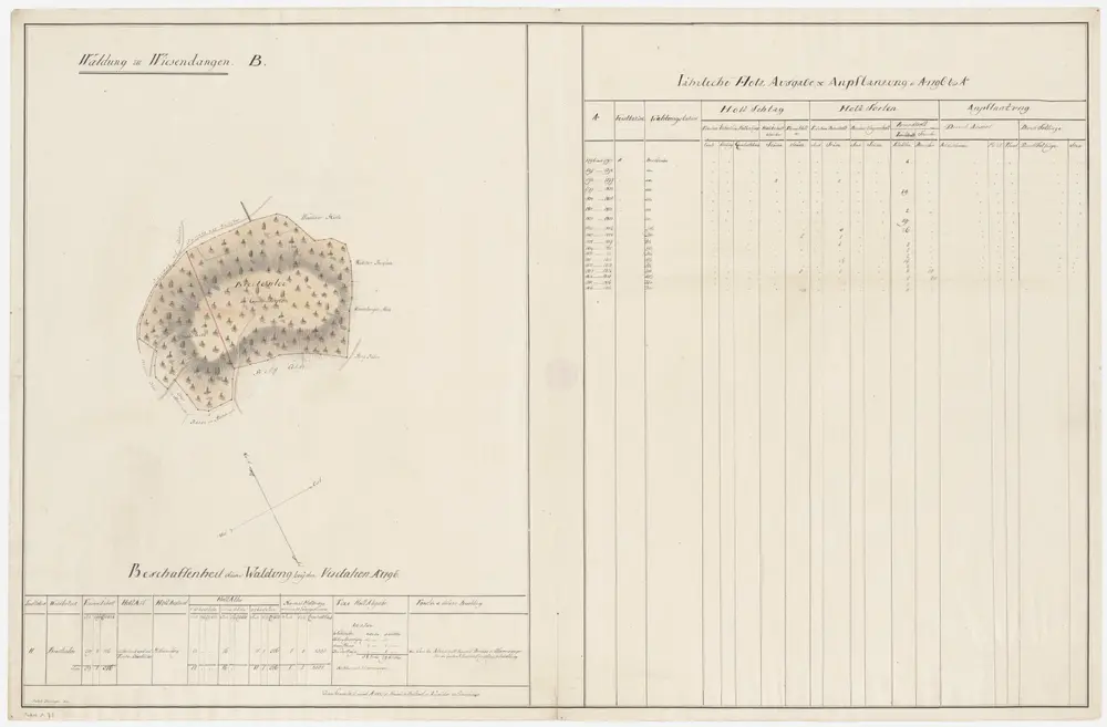 Wiesendangen: Dem Amt Winterthur gehörende Waldung (Waldbezirk Breitenloh); Grundriss (VI. Planche)