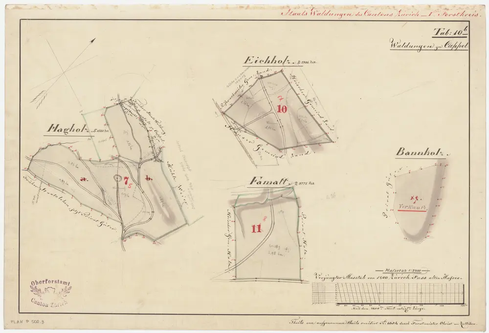 Kappel am Albis, Hausen am Albis: Staatswaldungen: Kappel am Albis, Hausen am Albis: Hagenholz, Eichholz, Fomat (Famatt) und Bannholz; Grundrisse (Tab. 10 b)