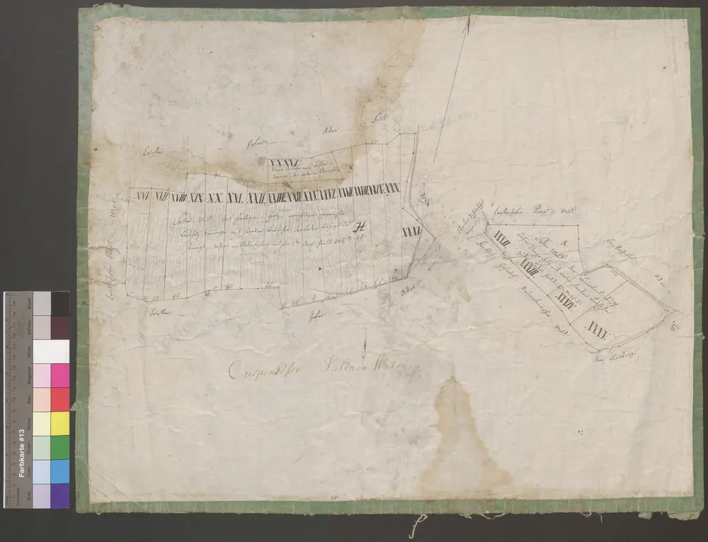 HZAN GA 100_Nr. 49_ : Crispenhofen; [Salinenwald];ohne Verfasser; ohne Maßstab;58 x 47,5 cm; Norden oben;Papier auf Leinwand; Federzeichnung mit Schraffen; Einteilung der Waldstücke.