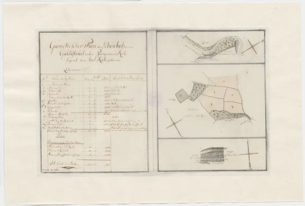 Rüti: Dem Amt Rüti gehörender, In der Guldistaud genannter Lehenhof; Grundrisse und Tabelle