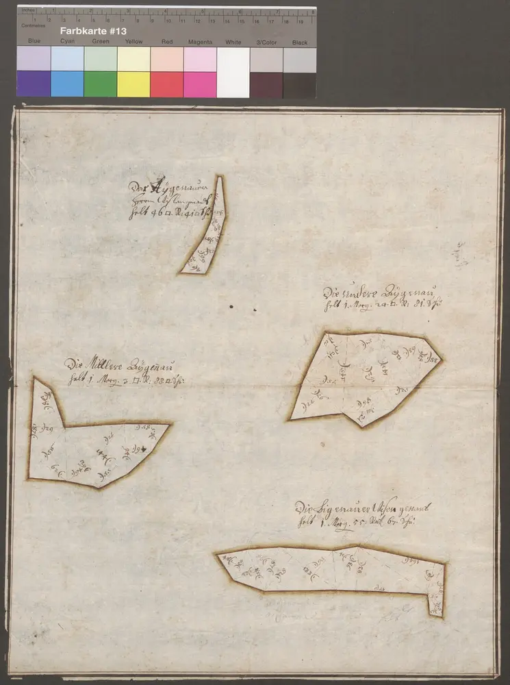 HZAN GA 100_Nr. 197_ : Kirchberg; "Herrschaftliche Güter in Eichenau" [Vermessungsplan];ohne Verfasser;ohne Maßstab;33 x 38 cm;Papier; 4 Feldstücke in Dreiecke aufgeteilt.