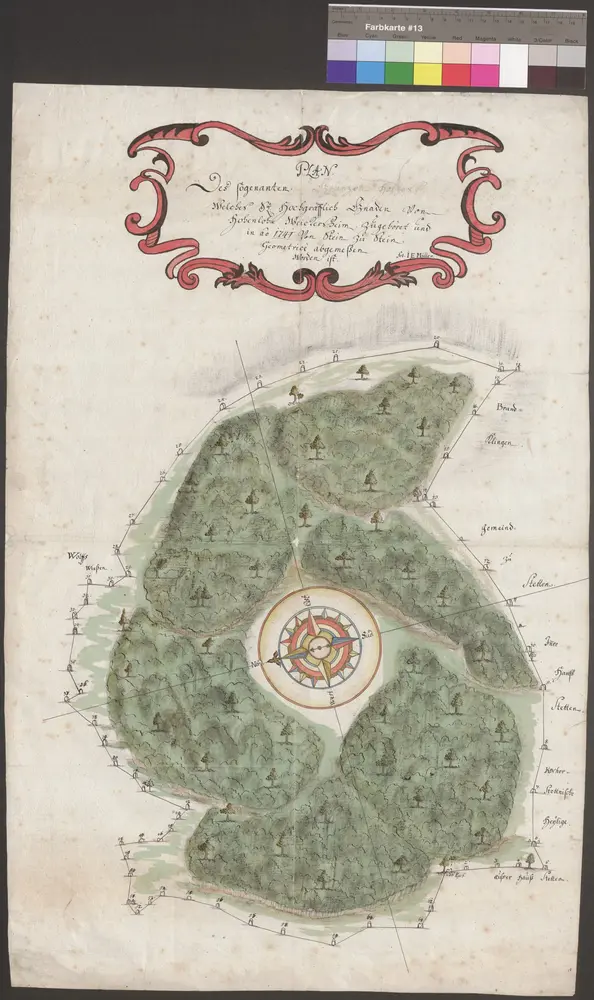 HZAN GA 100_Nr. 169_ : Kocherstetten; "Plan des sogenannten Grünzenholzes";J.E. Müller;ohne Maßstab;45,5 x 71 cm; Norden links;Papier; Federzeichnung; Wasserfarben; Grenzen und Darstellung der Marksteine.