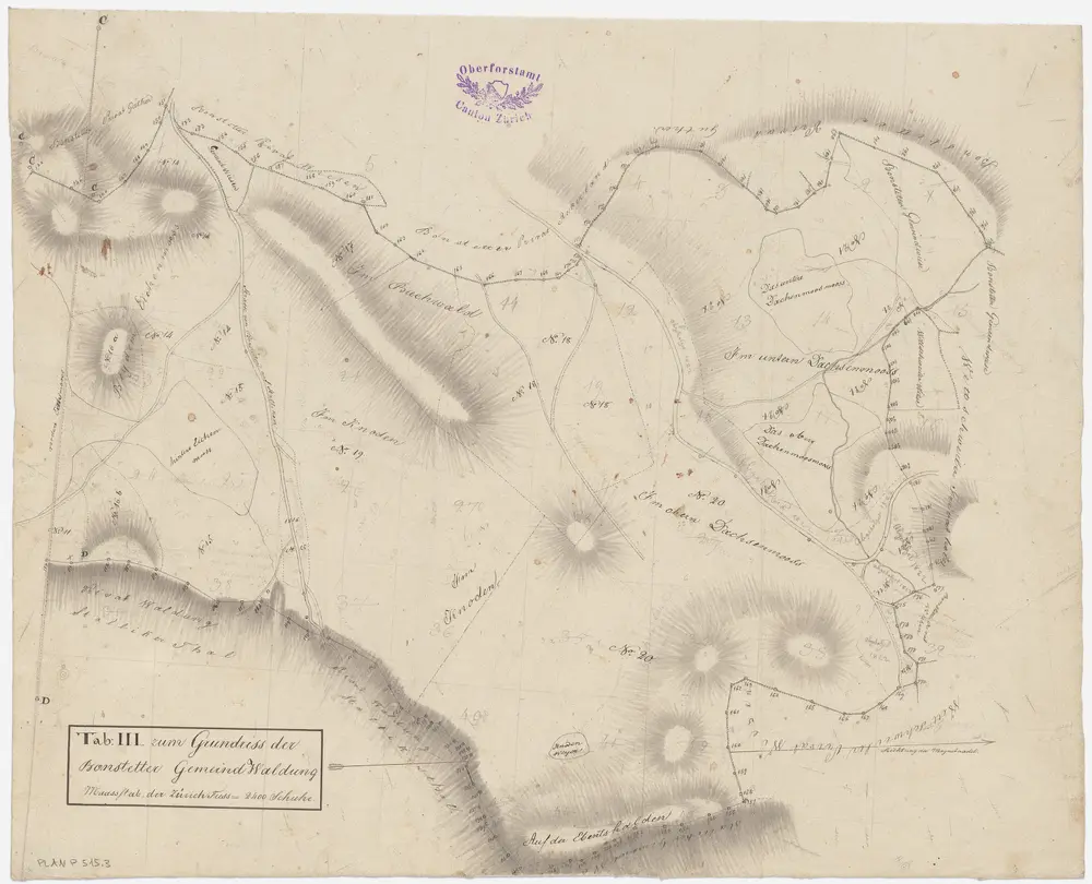 Bonstetten: Gemeinde- und Genossenschaftswaldungen: Gemeindewaldungen Chnoden (Knoden), Buechholz (Im Buchwald), Dachenmas (Dachsenmoos); Grundriss (Tab. III)