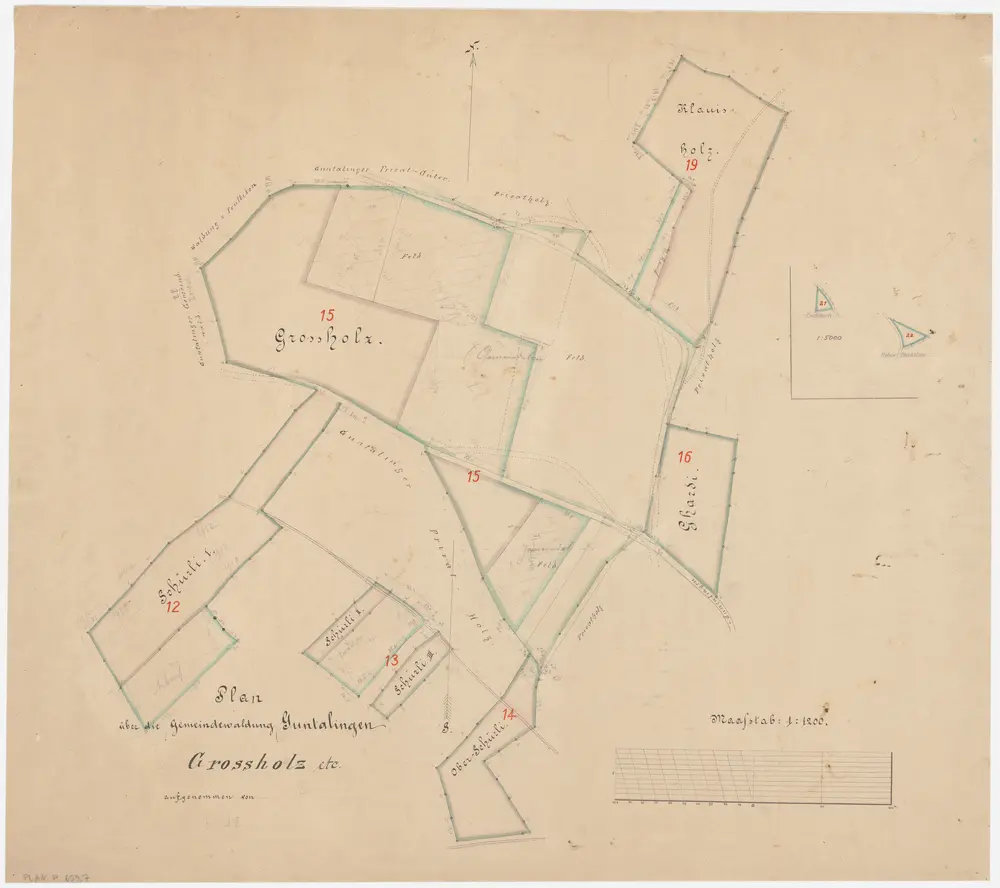 Waltalingen: Gemeindewaldung Guntalingen: Grossholz, Chläuisholz (Klauisholz), Ghardi, Eschbuck, Hohmarksten (Hoher Markstein); Grundrisse