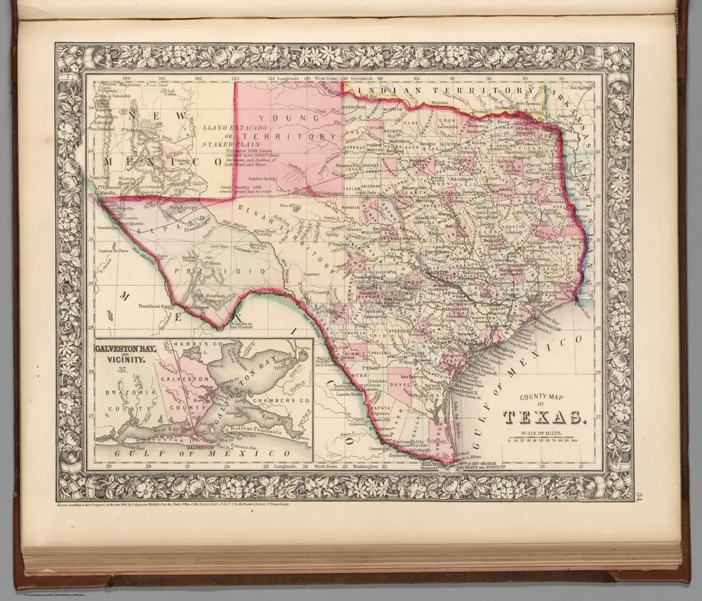 County map of Texas