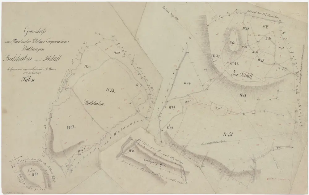 Kloten: Gemeinde- und Genossenschaftswaldungen: Genossenschaftswaldungen Buehalm (Buhhalm) und Schlatt; Grundriss (Tab. II)