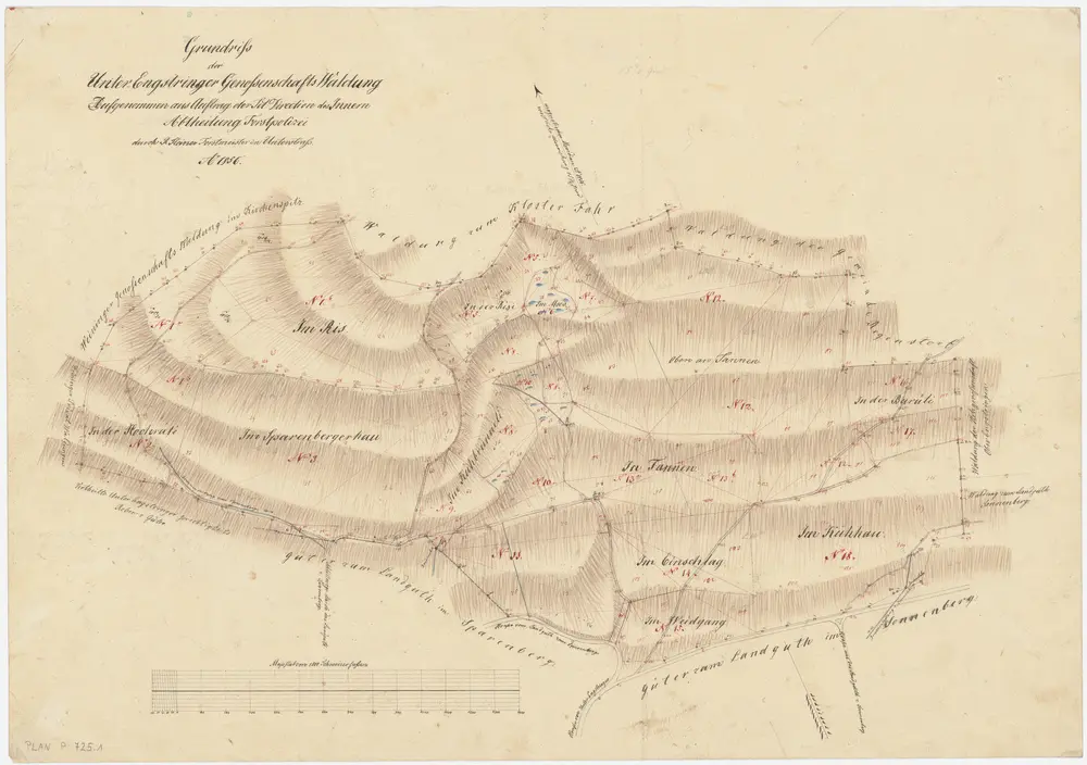 Unterengstringen: Genossenschaftswaldung: Hochrüti, Sparrenberger Hau (Sparenbergerhau), Ris, Chüebrünneli (Kühbrünneli), Risi, Oben an Tannen, Tannen, Ischlag (Einschlag), Weidgang, Burüti, Chüehau (Kühhau); Grundriss