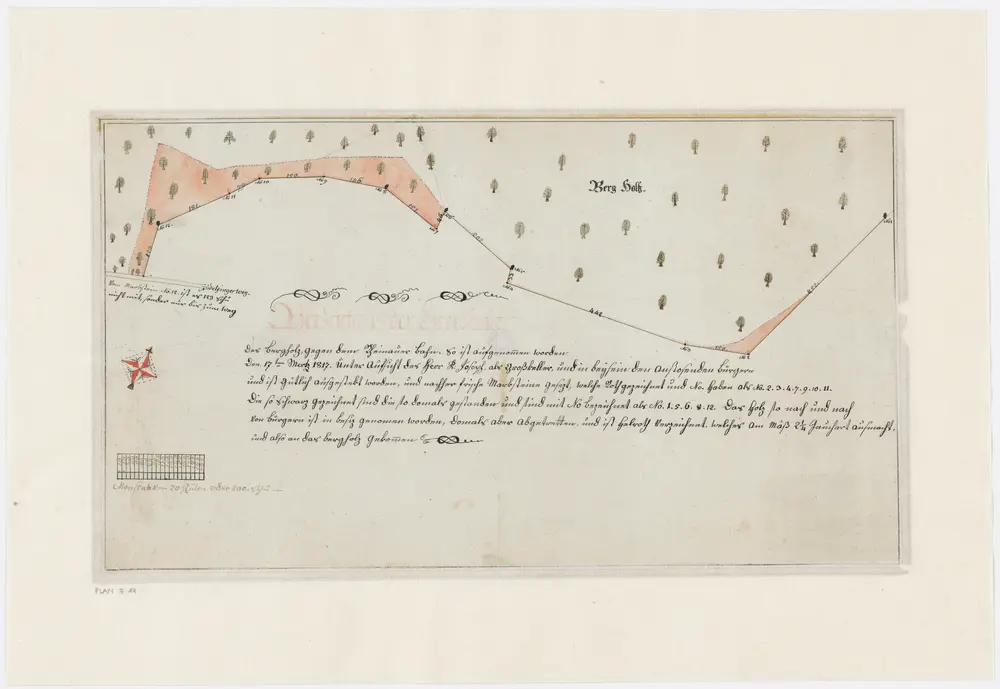 Gemeinde Rheinau: Grenzlinie unterhalb des Bergholzes gegen den Rheinauer Bann, südöstlich von Rheinau; Grundriss