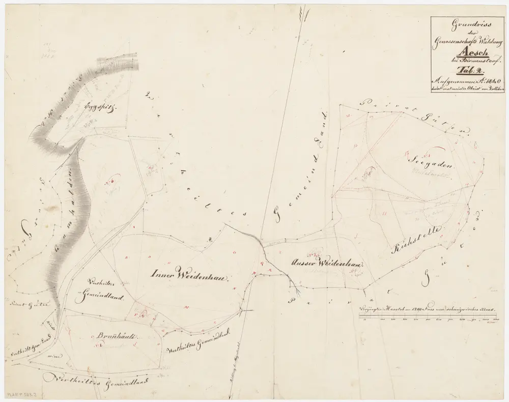 Aesch, Birmensdorf: Waldungen: Aesch: Genossenschaftswaldungen Widenhau und Eggweid; Grundriss (Tab. 2)