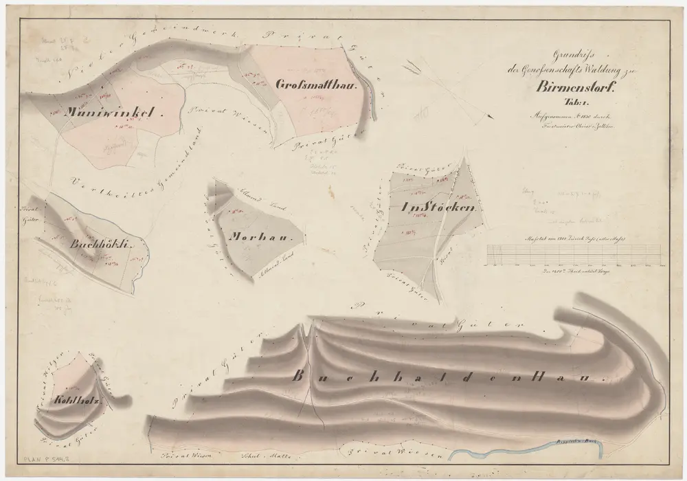 Birmensdorf: Gemeinde- und Genossenschaftswaldungen: Genossenschaftswaldungen Buehalden (Buchhaldenhau), Grossmatthau, Muniwinkel, Buchhölzli, Moorhau (Morhau), Cholholz (Kohlholz), In Stöcken; Grundrisse (Tab. I)