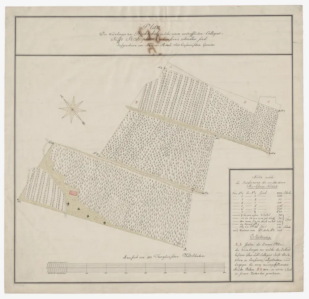 Weinfelden TG: Dem Kollegialstift St. Stephan in Konstanz zehntpflichtiger Weinberg zu Bachtobel; Grundriss