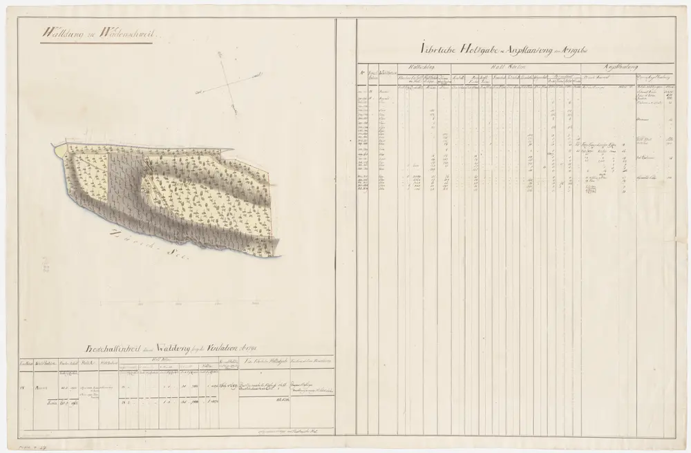 Wädenswil: Dem Amt Küsnacht gehörende Waldung (Waldbezirk Auwald); Grundriss (V. Planche)