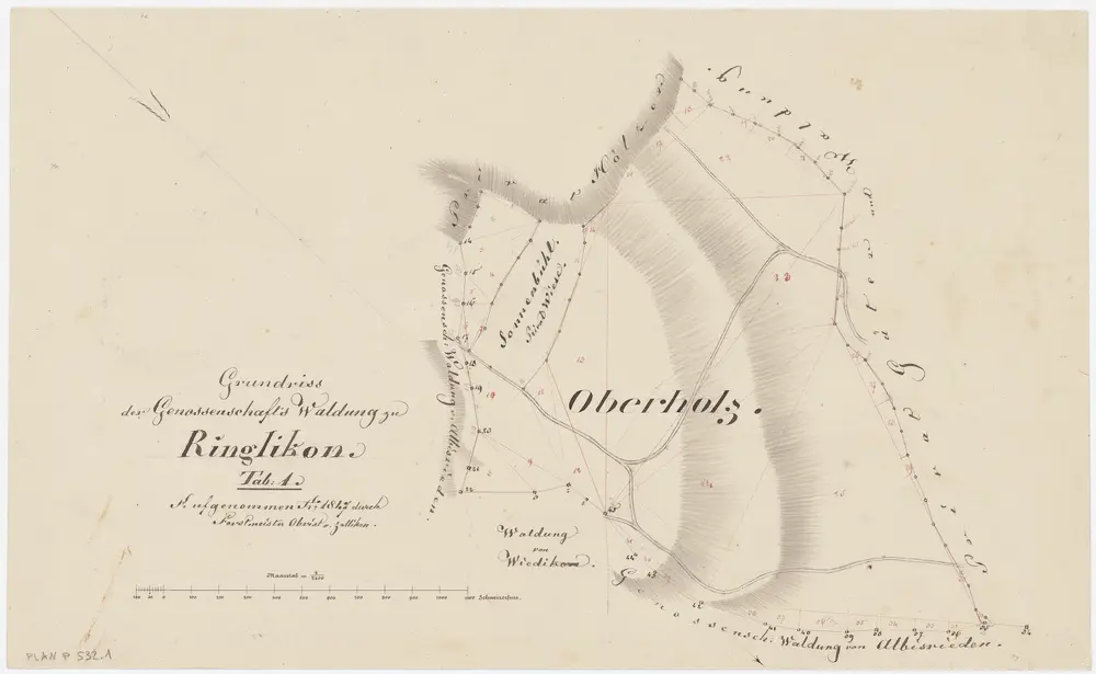 Uitikon: Genossenschaftswaldung Ringlikon: Oberholz; Grundriss (Tab. 1)