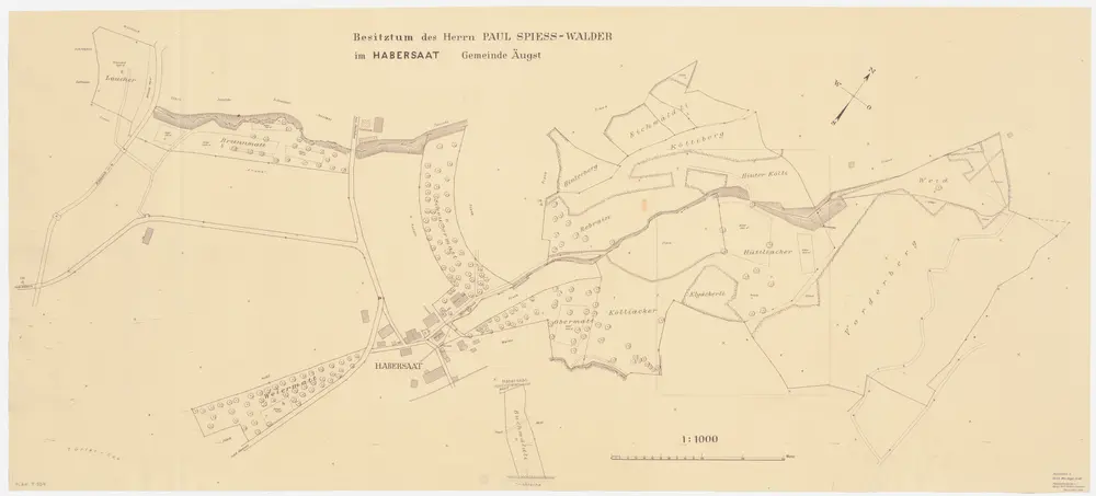 Aeugst am Albis: Paul Spiess-Walder gehörende Waldung im Habersaat; Grundriss