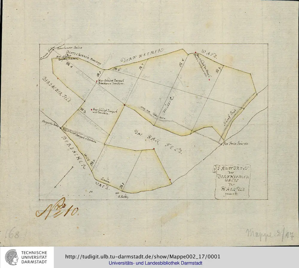 Grundriss des Dornheimer Walds das Haessfeld genant