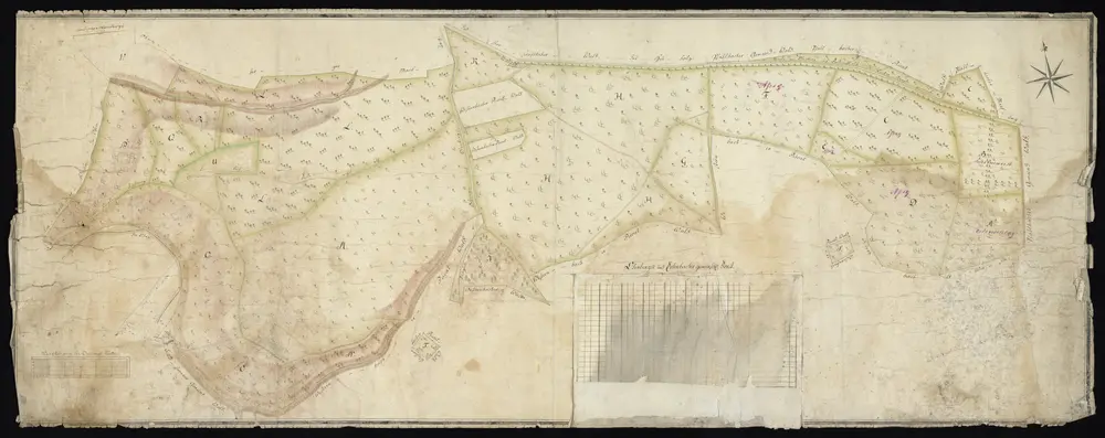 HZAN GA 100_Nr. 29_ : Baumerlenbach und Ohrnberg; "Gemeinschaftlicher Forst ...";ohne Verfasser; 60 Ruten = 14 cm;160 x 62 cm; Norden oben;Papier auf Leinwand; Federzeichnung; Wald, auch Baumbestand in Wasserfarben; Täler schraffiert.