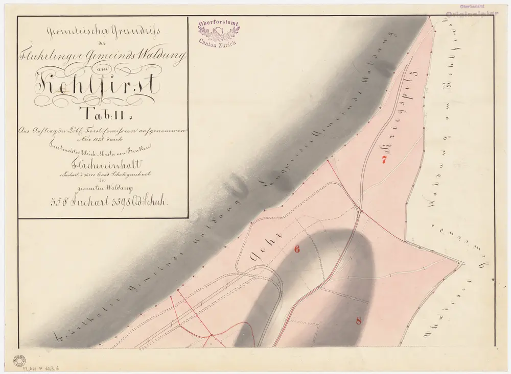 Flurlingen: Gemeindewaldung: Cholfirst (Kohlfirst), Chriegspitz (Kriegspitz), Ger (Gehr); Grundriss (Tab. II)