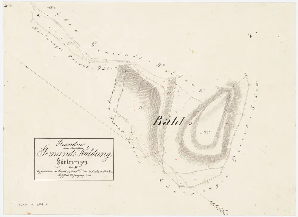 Hüntwangen: Gemeindewaldung: Bäl (Bähl); Grundriss (Tab. III)