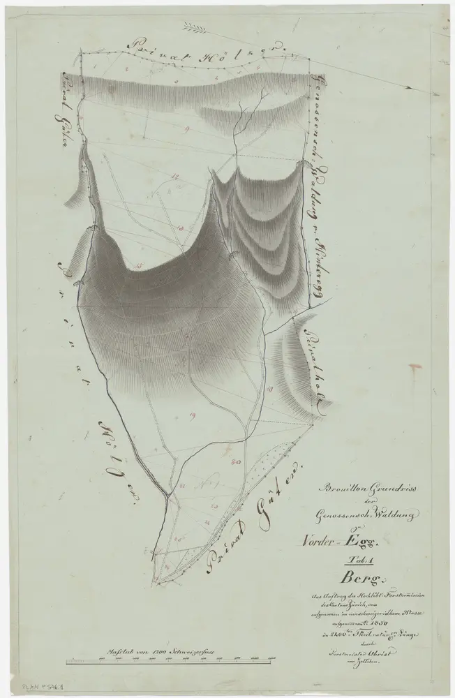 Egg: Gemeinde- und Genossenschaftswaldungen Vorderegg: Genossenschaftswaldung Egger Berg; Grundriss (Tab. 1)