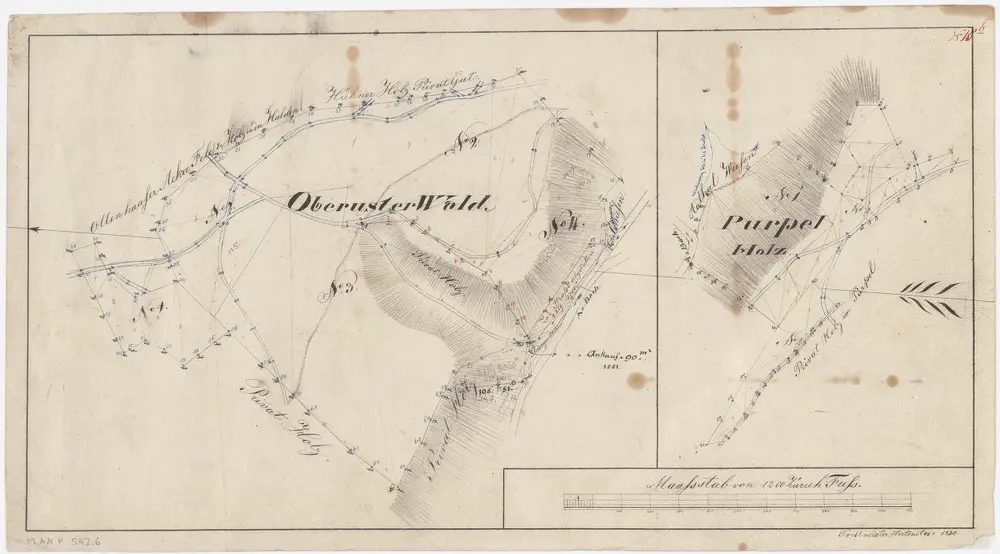 Uster, Seegräben: Staatswaldungen: Uster: Oberustermer Wald (Oberuster Wald), Purpel; Grundrisse