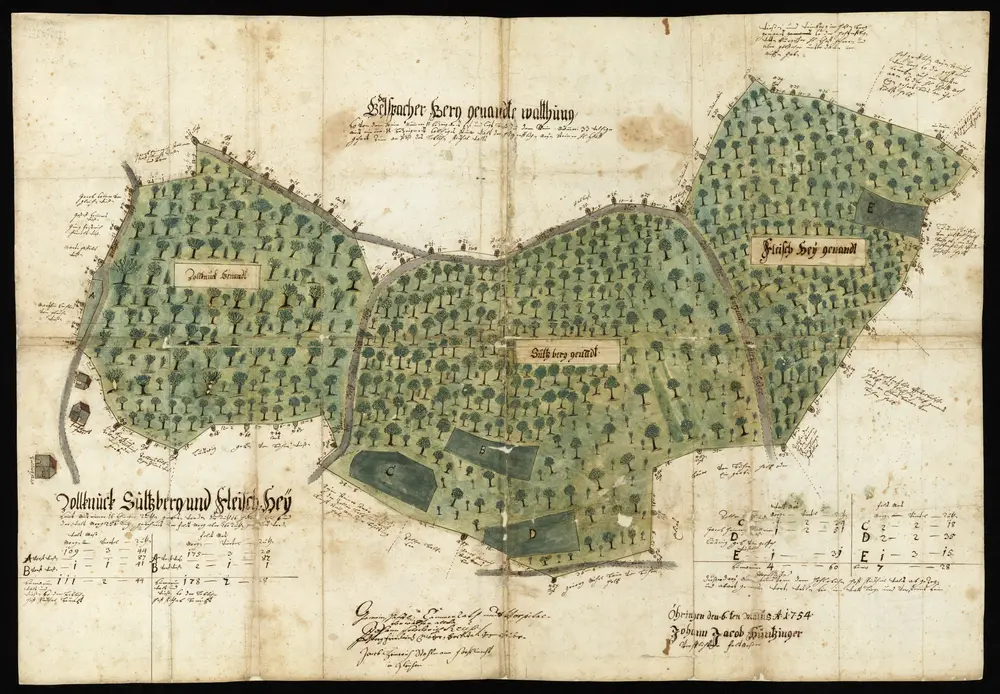 HZAN GA 100_Nr. 89_ : Gleichen (Kr. Öhringen); "Zollknick, Sultzberg und Fleischheu" [Waldkarte";J.J. Huntzinger, Feldmesser;ohne Maßstab;89 x 61 cm;Papier; Wasserfarben; Grenzsteine und Angrenzer angegeben.