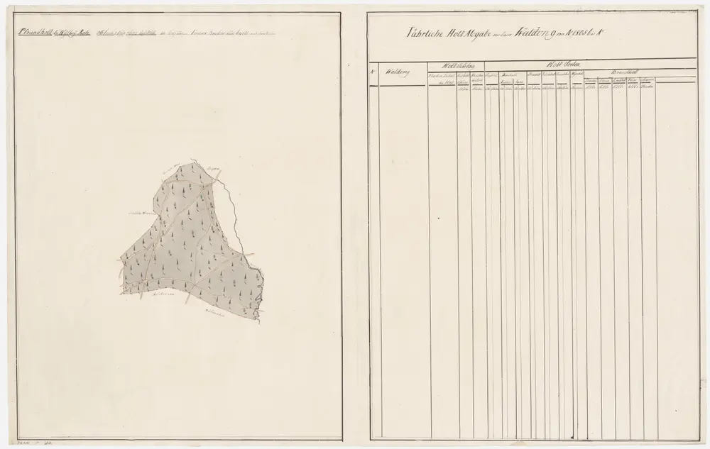 Wil: Dem Kornamt gehörende Waldung Pfrundholz; Grundriss (VIII. Planche)