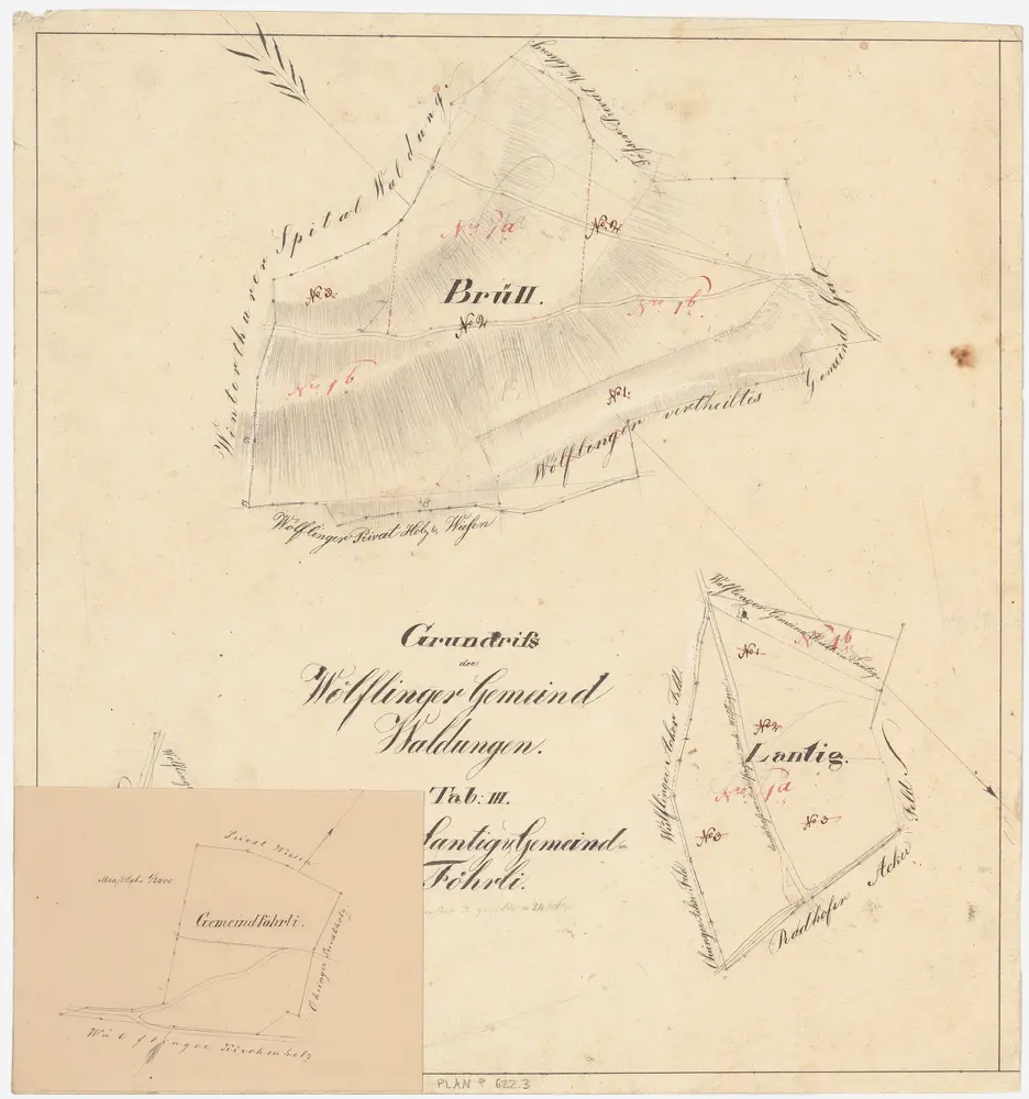 Wülflingen: Gemeinde- und Kirchgemeindewaldungen: Gemeindewaldungen Lantig, Brüelwald (Brüll), Gemeindföhrli; Grundrisse (Tab. III)
