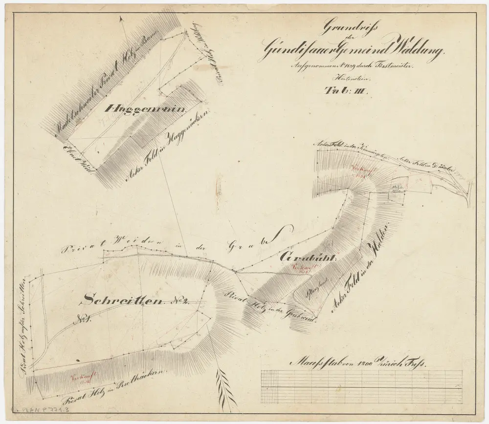 Russikon: Gemeindewaldung bzw. Genossenschaftswaldung Gündisau: Gemeindewaldungen Schriten (Schreitten), Haggenrain, Grubühl; Grundrisse (Tab. III)
