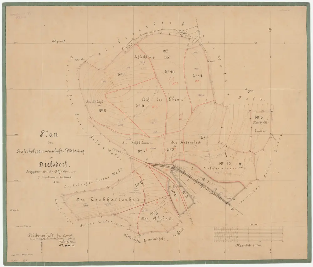 Dielsdorf: Haferholzgenossenschaftswaldung auf dem Schwänkelberg mit Spirgi (Spürgi), Schlechtweg (Schleehteweg), Ebni (Ebene), Cholbrunnen (Kohlbrunnen), Lochhaldenhau, Asphau, Buechen (Buchen), Haldenhau, Holzerwisen (Holzerwiesen), Nüechtelisbrunnen (Nüchtelisbrunnen); Grundriss