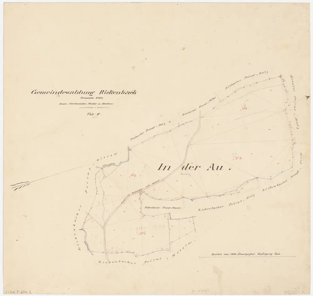 Rickenbach: Gemeindewaldung: Auholz (In der Au); Grundriss (Tab. II)