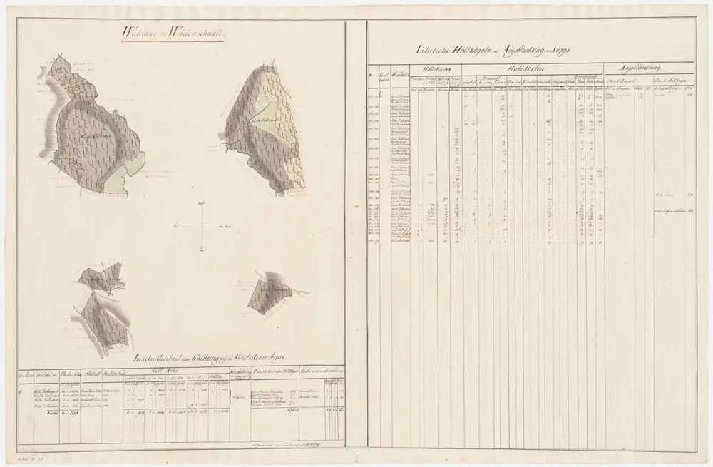 Wädenswil: Dem Amt Küsnacht gehörende Waldung (Waldbezirk Tiefenbach); Grundrisse (III. Planche)