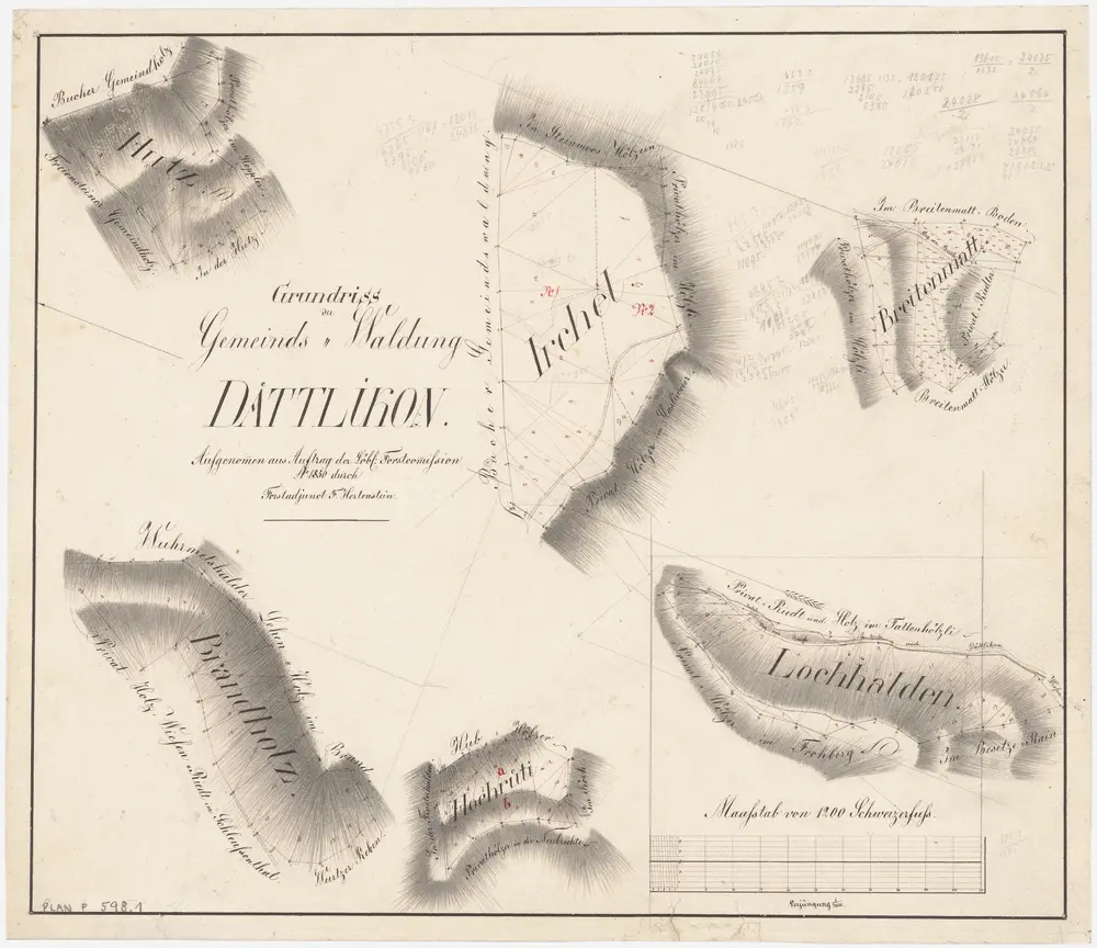 Dättlikon: Gemeindewaldung: Breitmatt (Breitenmatt), Irchel, Chalchhof, Lochhalden, Hochrüti, Brandholz, Hutz, Bsetzi, Studenrain, Frohberg; Grundrisse