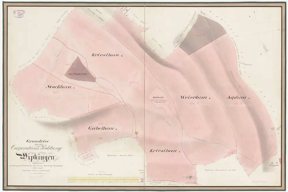 Wipkingen: Gemeinde- und Genossenschaftswaldungen: Genossenschaftswaldungen Stockhau, Im Tiefwiesli, Gubelhau, Kriesihau, Weierhau, Asphau; Grundriss