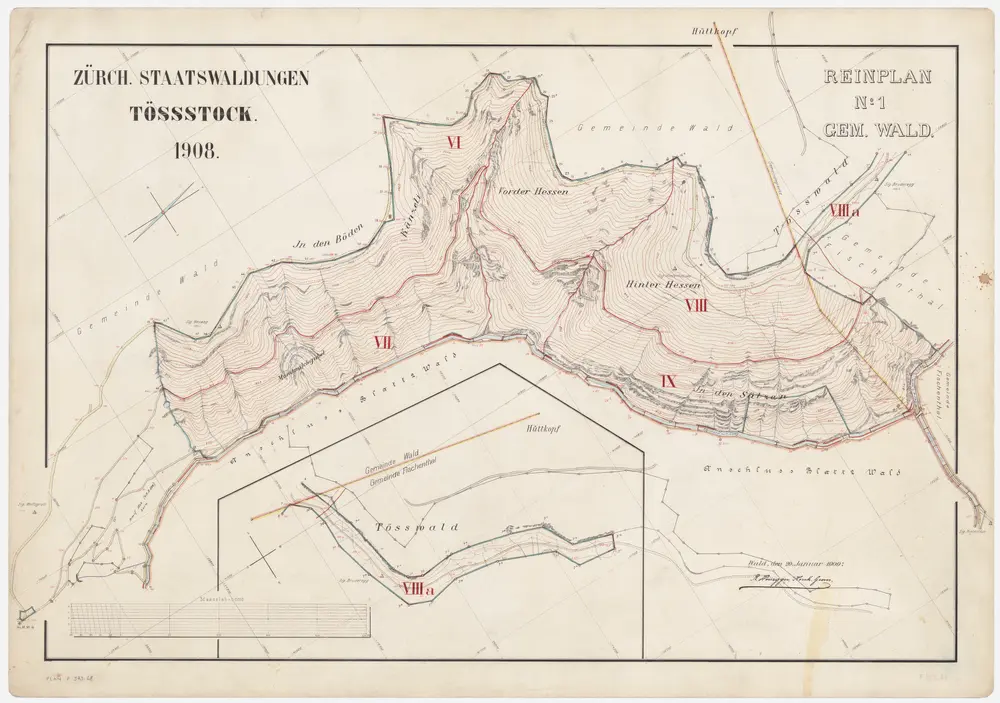 Wald, Fischenthal, Goldingen SG: Waldungen: Wald: Staatswaldung Tössstock; Grundriss (Reinplan Nr. 1)