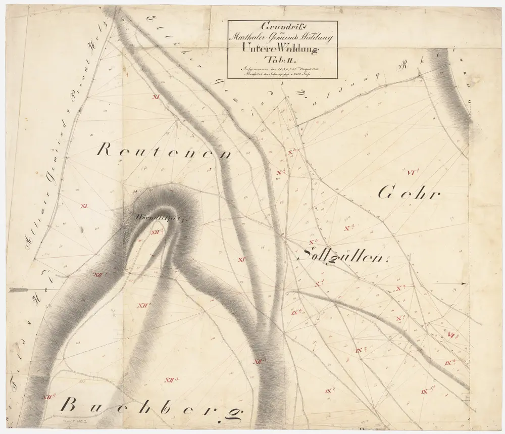 Marthalen: Gemeindewaldung: Untere Waldung mit Ger (Geer, Gehr), Buechberg (Buchberg), Rütenen (Reutenen), Solgüllen (Sollgüllen); Grundriss (Tab. II)