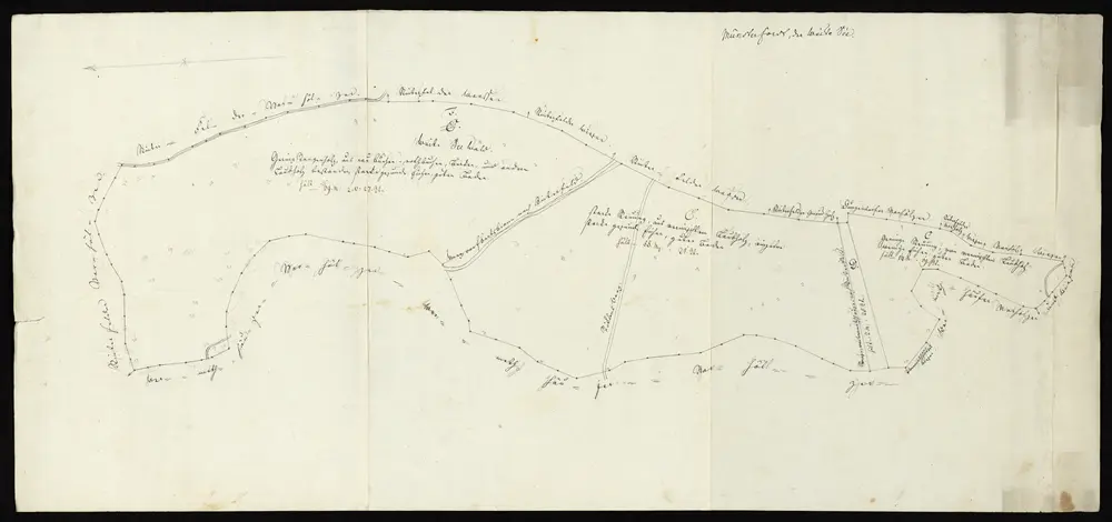 HZAN GA 100_Nr. 1275_ : Münster"Münster Forst, der weite See"; Forstkarte, Grundriss