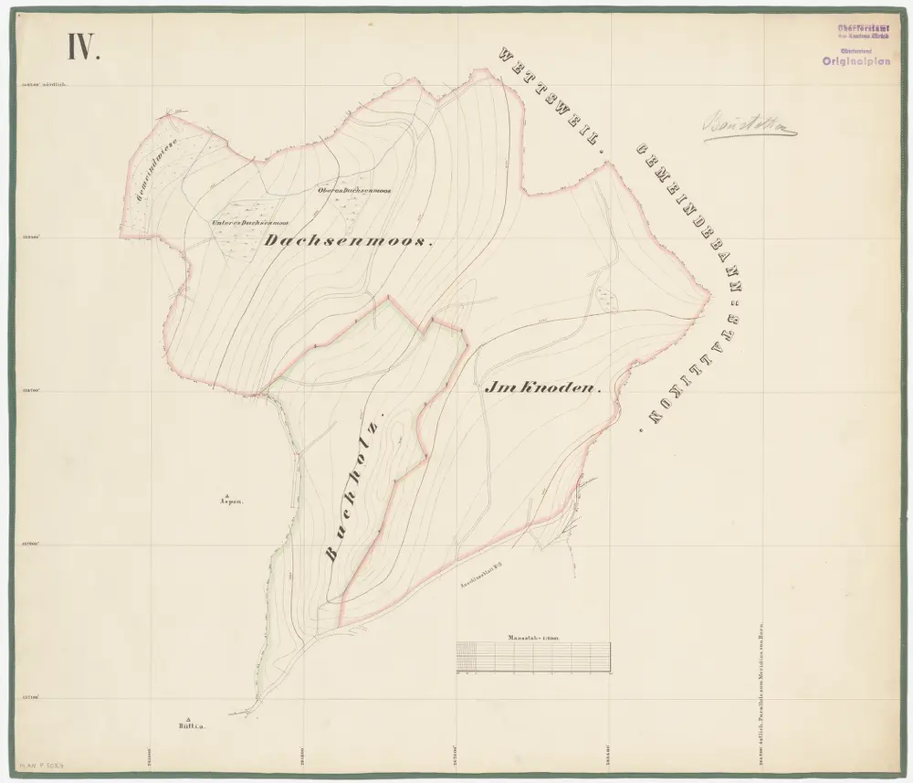 Bonstetten: Genossenschaftswaldung: Dachenmas (Dachsenmoos), Buechholz, Chnoden (Im Knoden); Grundriss (Blatt IV)